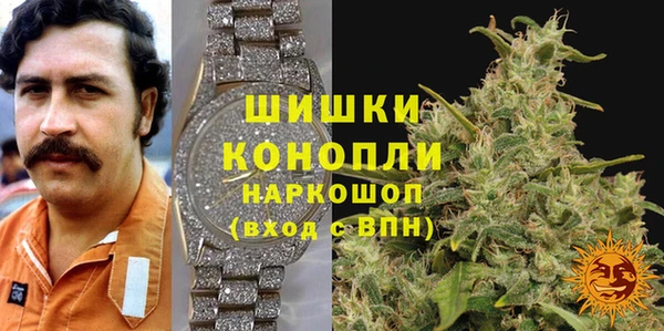 шишки Анива