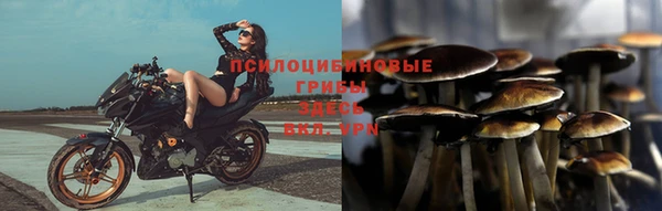 синтетический гашиш Белая Холуница
