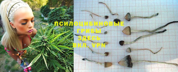 скорость Бежецк