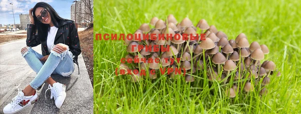 гашик Апатиты