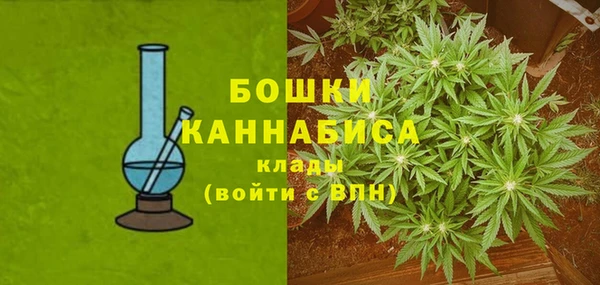 прущие крисы Анжеро-Судженск