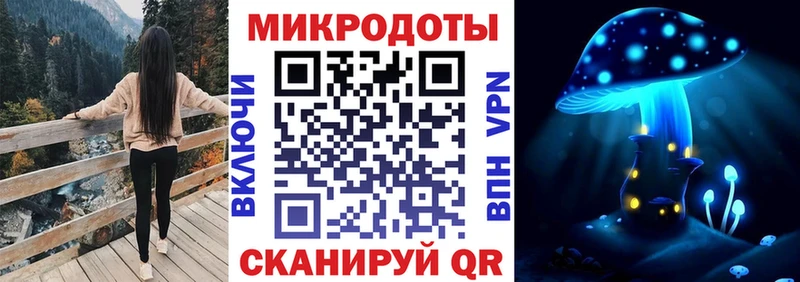 кракен ТОР  Зверево  Псилоцибиновые грибы GOLDEN TEACHER 
